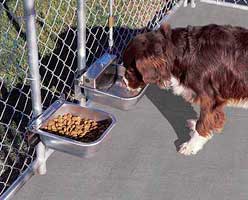 Nelson Stainless Steel Feeding Pan on Pole