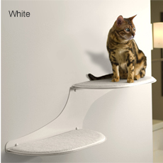 White Cat Clouds Cat Shelf