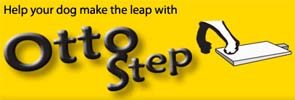 Otto Step