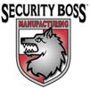 Security Boss