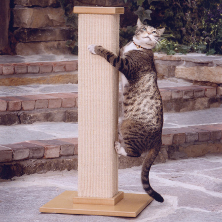 The Ultimate Scratching Post